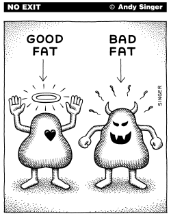 GOOD FAT AND BAD FAT by Andy Singer