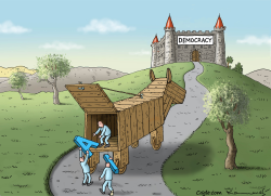 DEMOCRACY COLLAPSE by Marian Kamensky