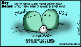GLOBAL MIDDLE POWER by Yaakov Kirschen