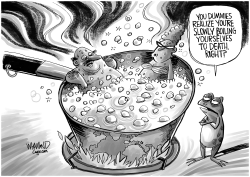 BOILING POINT by Dave Whamond