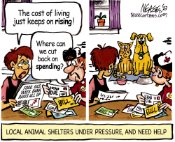 ANIMAL SHELTERS by Steve Nease