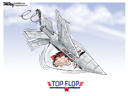 TOP FLOP by Bill Day