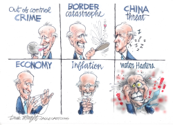 BIDEN AND WATER HEATERS by Dick Wright