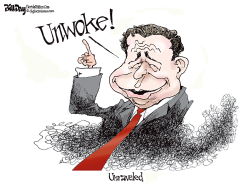UNWOKE AND UNRAVELED by Bill Day
