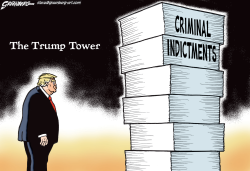 TRUMP INDICTMENTS by Steve Greenberg