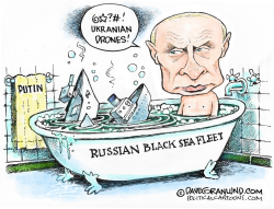 RUSSIAN SHIPS HIT by Dave Granlund
