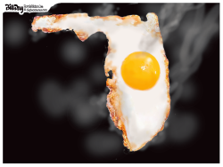 FLORIDA FRIED EGG by Bill Day