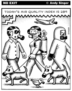 AIR QUALITY INDEX by Andy Singer