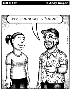 PRONOUN IS DUDE by Andy Singer