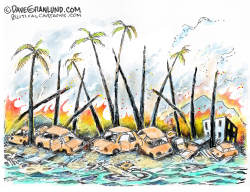 HAWAII FIRES by Dave Granlund