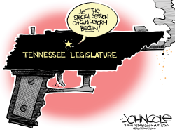 TENNESSEE GUN-REFORM SPECIAL SESSION by John Cole