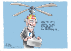 BIDEN AND CEILING FANS by Dick Wright