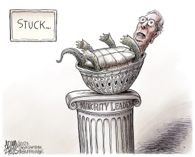 MCCONNELL FROZE AGAIN by Adam Zyglis