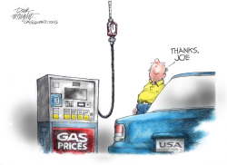 BIDEN GAS PRICES by Dick Wright