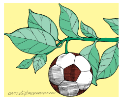 FRUIT OF THE SPORT /  by Arcadio Esquivel