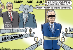IMPEACHMENT SQUAD by Steve Greenberg