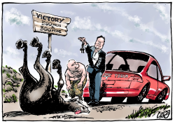 WHAT DOES ELON MUSK STAND FOR? by Jos Collignon