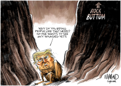 THERE IS NO BOTTOM by Dave Whamond