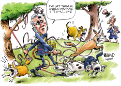 MCCARTHY FAILURE TO LEAD by Dave Whamond