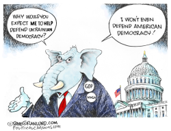 GOP AND DEMOCRACY by Dave Granlund