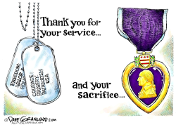 VETERANS SERVICE AND SACRIFICE by Dave Granlund