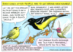 BIRDS - THE NAME GAME by Taylor Jones