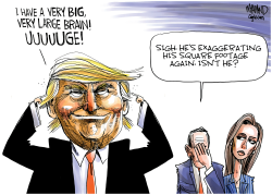 TRUMP EXAGGERATIONS by Dave Whamond