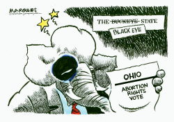 OHIO PROTECTS ABORTION RIGHTS by Jimmy Margulies