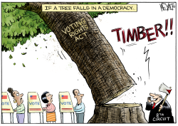 IF A TREE FALLS IN A DEMOCRACY by Christopher Weyant