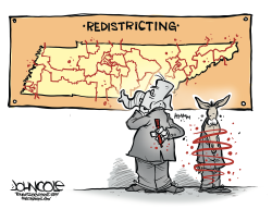 TENNESSEE GERRYMANDERING by John Cole