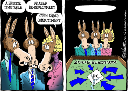 2006 ELECTIONS by Bob Englehart