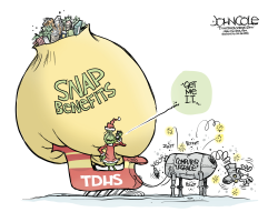 TENNESSEE SNAP BENEFITS DELAYED by John Cole