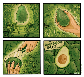 THE COST OF AVOCADOS by Peter Kuper