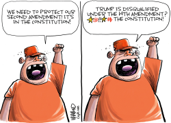 TRUMP DISQUALIFIED UNDER 14TH AMENDMENT by Dave Whamond