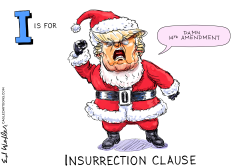 I IS FOR INSURRECTION CLAUSE  by Ed Wexler