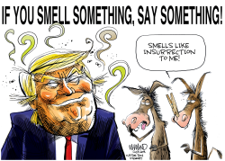 THE SMELL OF INSURRECTION by Dave Whamond