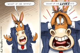 WHAT IF HE LOSES by Ed Wexler