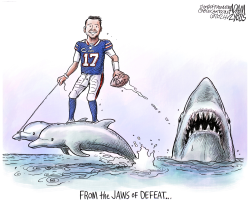 AFC EAST CHAMPS by Adam Zyglis
