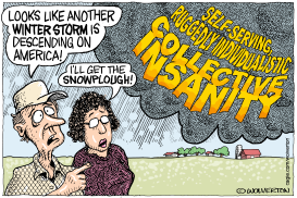 AMERICA'S COLLECTIVE INSANITY by Monte Wolverton