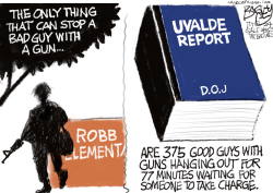 UVALDE REPORT by Pat Bagley