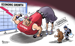 CHINESE GROWTH by Paresh Nath