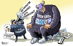 TECH CEOS AND SENATORS by Paresh Nath