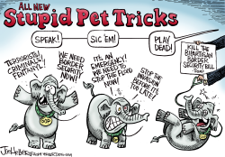 STUPID PET TRICKS by Joe Heller