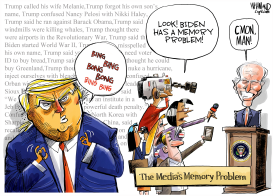 THE MEMORY PROBLEM by Dave Whamond
