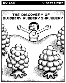 BLUBBERY RUBBERY SHRUBBERY by Andy Singer