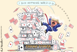 TRUMP FALLING HOUSE OF CARDS by Ed Wexler