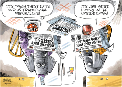 TRADITIONAL REPUBLICANS by Dave Whamond