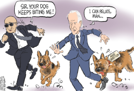 BITING DOGS AND BIDEN'S AGE by Jeff Koterba