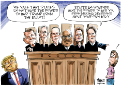 SCOTUS RULES by Dave Whamond