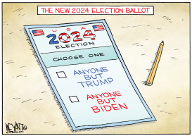 2024 NEW ELECTION BALLOT by Christopher Weyant